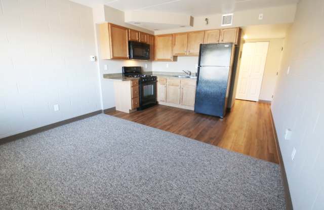 River Tower Apartments Gallery 3