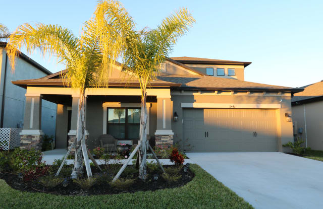 11440 Amapola Bloom Ct - 11440 Amapola Bloom Ct, Riverview, FL 33579