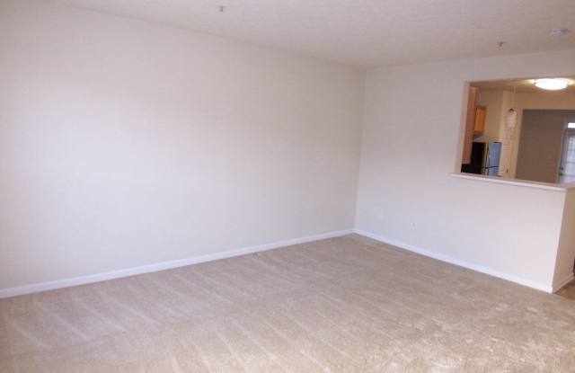 5073 BRISTLE CONE CIRCLE Gallery 2