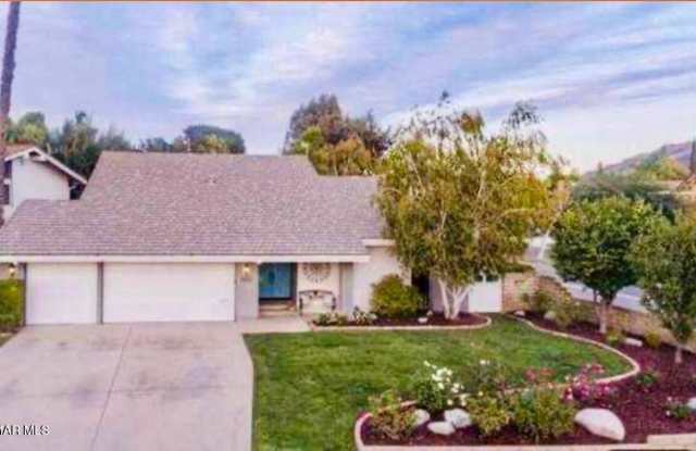 4502 Wolsey Court photos photos