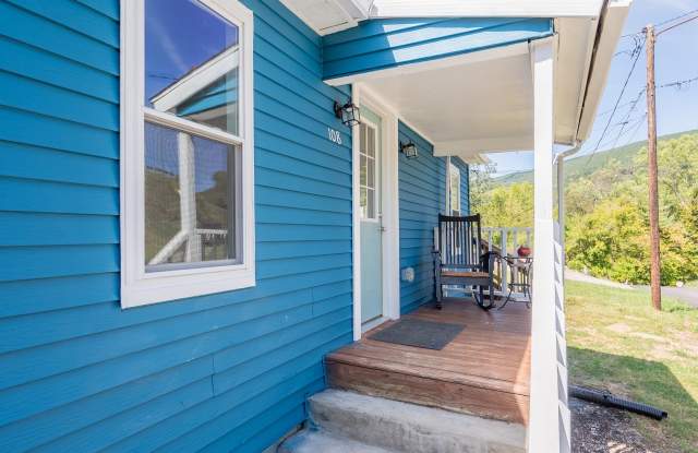 Charming updated 2 bedroom 1 bath home in Narrows VA - 108 George Street, Narrows, VA 24124