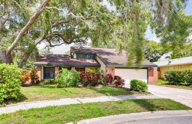 30 Regis Circle - 30 Regis Circle, Palm Harbor, FL 34683