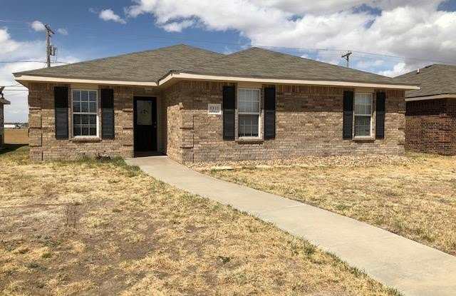 6910 Apollo Trail - 6910 Apollo Trail, Amarillo, TX 79118