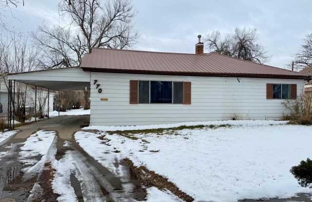 770 School Street - 770 School Street, Craig, CO 81625