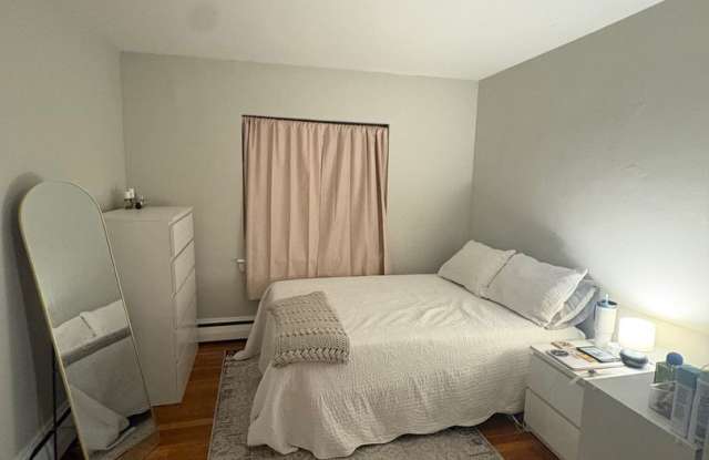 See YT Video!  No Fee!  Huge & Sunny Apt near Ts & Cleveland Cirlce.  Cat Friendly Gallery 4