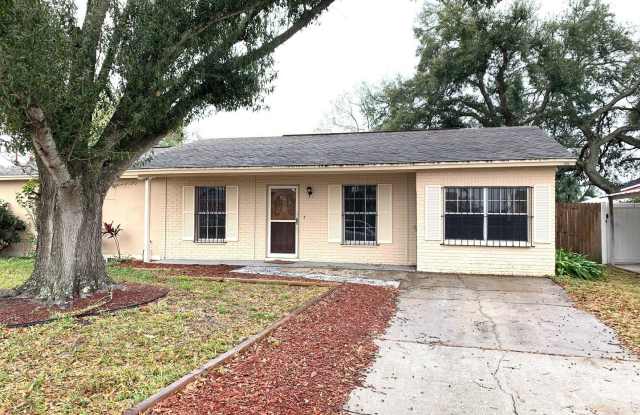 6412 Larmon Street - 6412 Larmon Street, Town 'n' Country, FL 33634