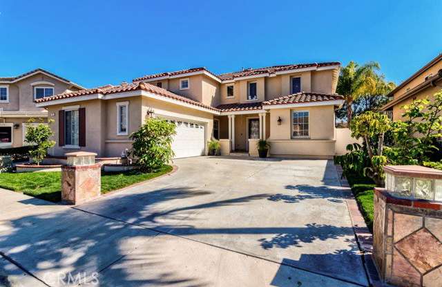 8 Zinnia photos photos