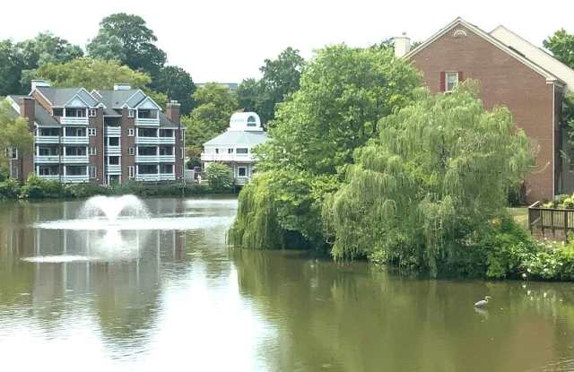 Lake View Condo - Move In Today Gallery 1