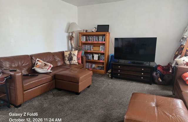 1351 Piney Dr Gallery 4