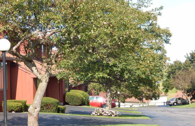 35 Treetop Dr Gallery 3