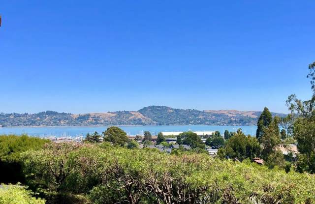 Charming, Furnished 1-bedroom Condo in Sausalito. photos photos
