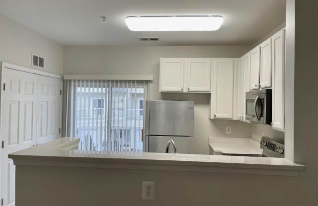 42427 GOLDENSEAL SQUARE Gallery 4