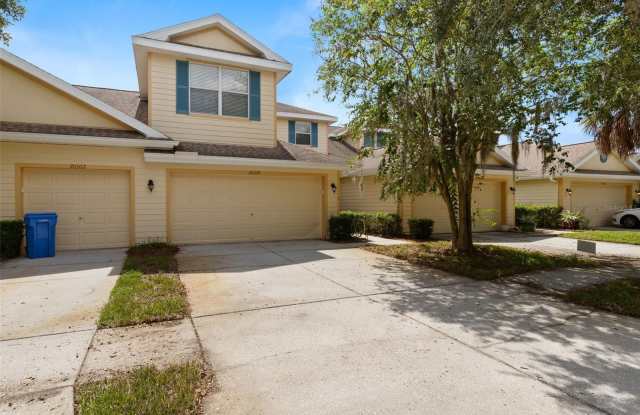 20304 NOBLE OAK PLACE - 20304 Noble Oak Place, Pebble Creek, FL 33647