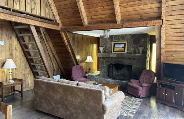 339 Chalet Village Dr Gallery 3
