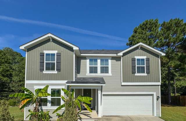 Beautiful 4 Bed 2.5 Bath Home in Lillington Gallery 1