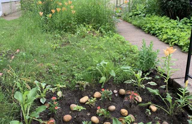 2626 37th Avenue South - 2626 37th Avenue South, Minneapolis, MN 55406