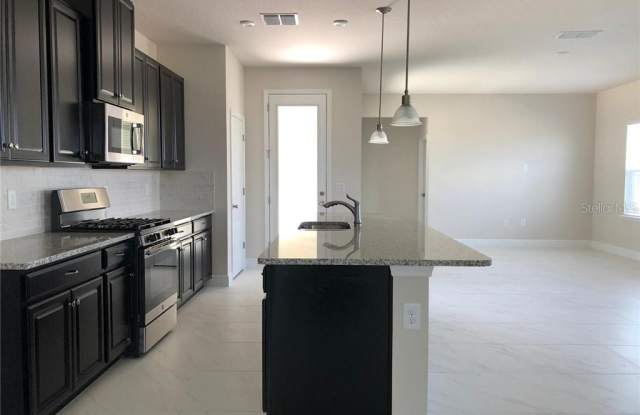 16445 SILVERSAW PALM DRIVE Gallery 4