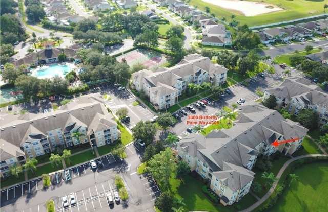 2300 BUTTERFLY PALM WAY - 2300 Butterfly Palm Way, Four Corners, FL 34747