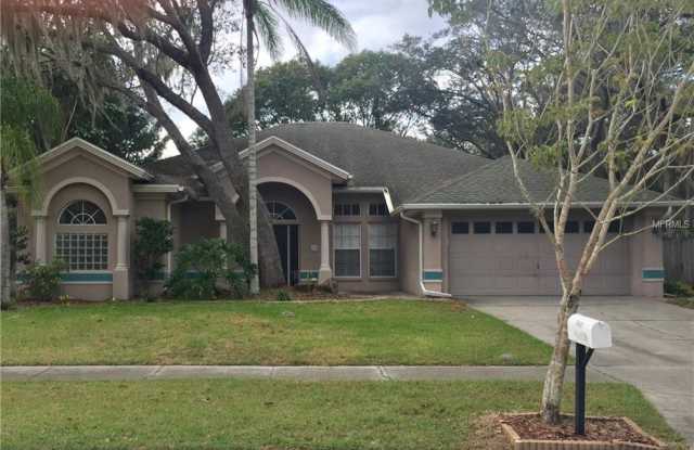 10401 HARVESTIME PLACE - 10401 Harvestime Place, Riverview, FL 33569