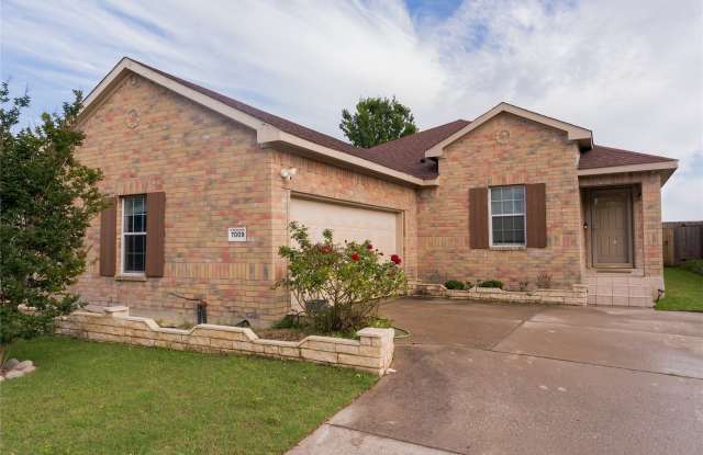 7009 Bountiful Grove Drive Gallery 2