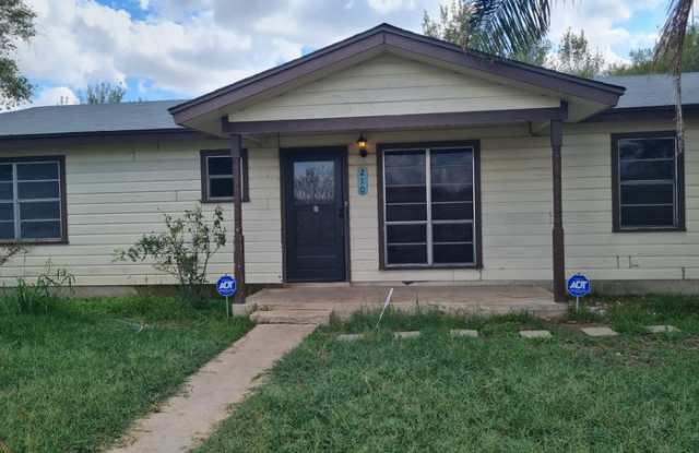 210 North Michigan Avenue - 210 North Michigan Avenue, Mercedes, TX 78570