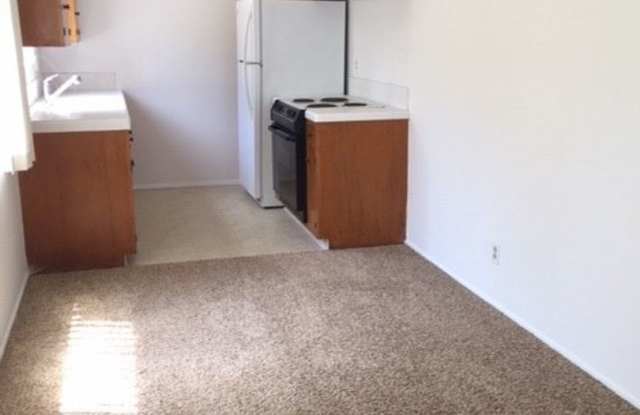 2611 Orella Gallery 2