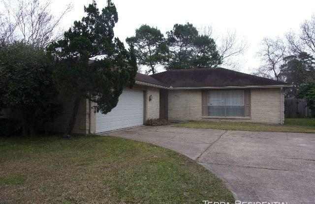 19710 Bolton Bridge - 19710 Bolton Bridge Lane, Harris County, TX 77338