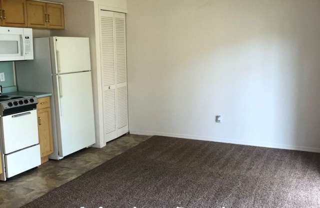 Walk-in Unfurnished 1 Bedroom / 1 Bath in Branson Gallery 4