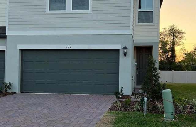 996 DESERT CANDLE DRIVE - 996 Desert Candle Drive, Ocoee, FL 34761