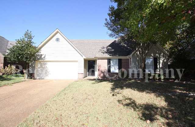 9532 Chi Chi Cv photos photos