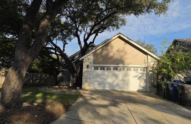 15003 Morning Path Gallery 1