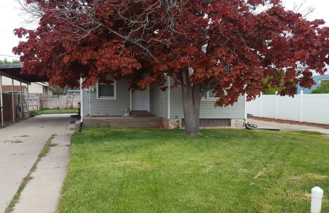 Charming basement apt photos photos