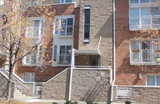 Awesome 2 Bed Condo in Desired NODA - The Renaissance photos photos
