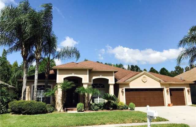 18110 ROYAL FOREST DRIVE - 18110 Royal Forest Drive, Hillsborough County, FL 33647