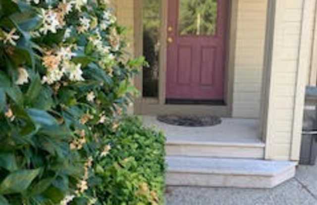 269 Canyon Creek Circle Gallery 4