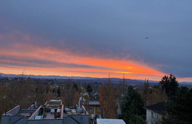 Beacon Hill Townhome - 2010 14th Avenue South, Seattle, WA 98144