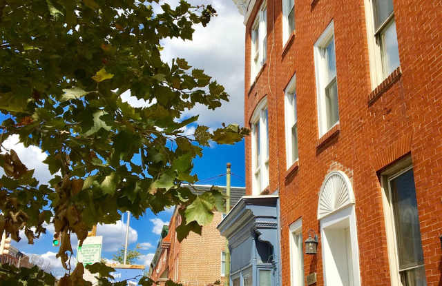 1503 S Hanover St Gallery 2