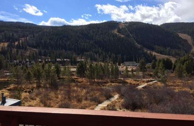 060 Oro Grande rd 201 - 060 Oro Grande Road, Keystone, CO 80435