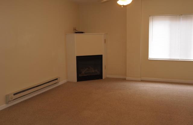 249 East Chicago Street - 2 Gallery 3