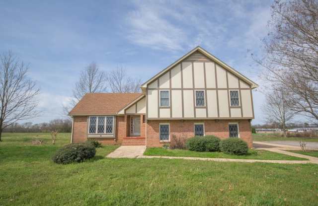 Beautiful Home in Athens City near Buc-ees! photos photos