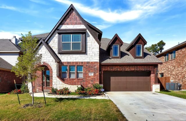 507 Svenson Lane - 507 Svenson Lane, Collin County, TX 75166