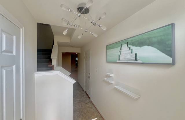 11620 Amaralles Dr Gallery 2