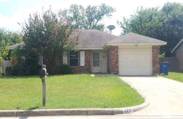 120 Liesa St - 120 Liesa Street, Alvarado, TX 76009