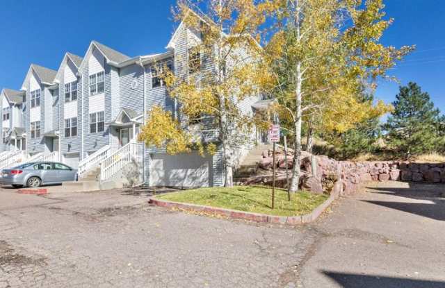 40 Vale Circle - 40 Vale Circle, Palmer Lake, CO 80133
