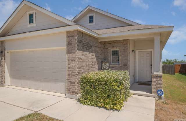 5418 Cicada photos photos