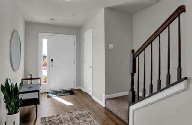 155 SUSSEX Place Gallery 4