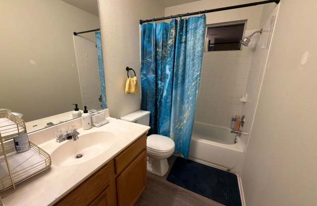 Room in 3 Bedroom Home in Leander Gallery 3