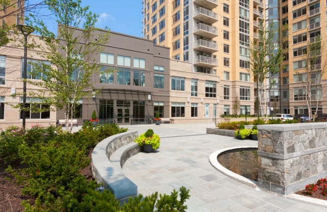 Harrison at Reston Town Center Gallery 3