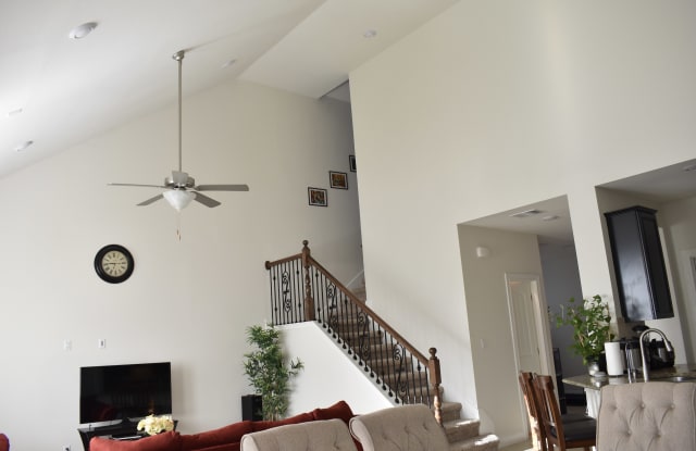 1109 Sundrops Street - 1109 Sundrops Street, Leander, TX 78641