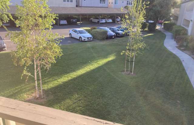 1469 Alma Loop photos photos